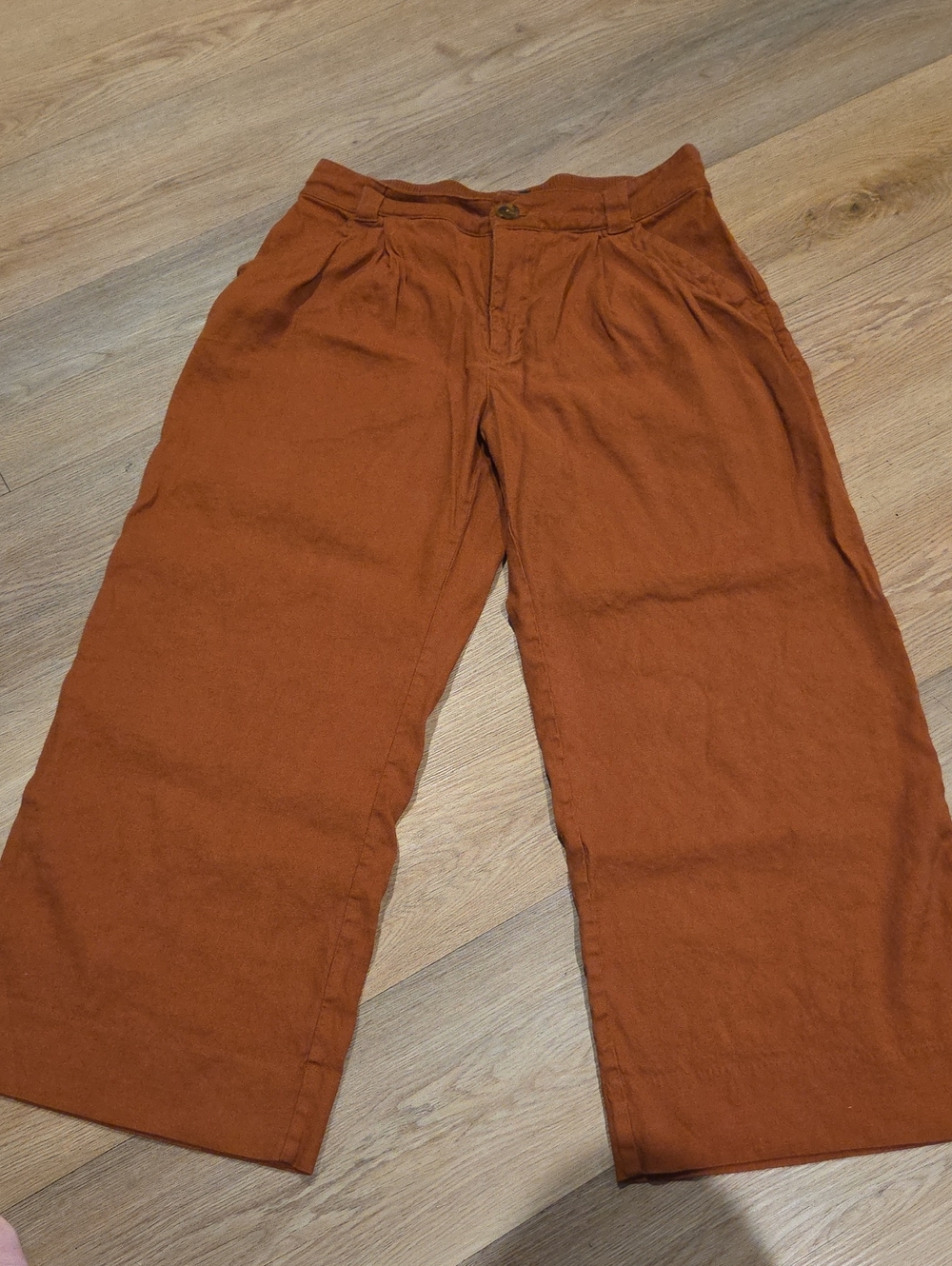 CAbi Wide-Leg Pants in Rust